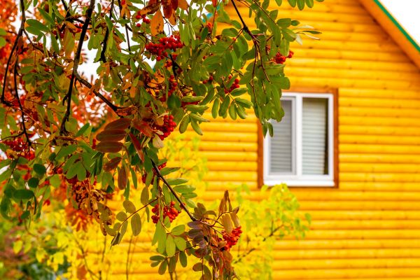 Cost of Garden Window Replacement in Carrollton